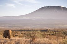 Day Tour to Amboseli National park and Masai Village Tour