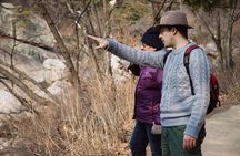 Seoul Mountain Hike: Temples, Folklore & Traditional Meal
