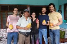 2-Day Cacao Tour in Cusco Jungle – Learn & Harvest with Experts