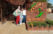 Las Canadas Ecopark and Bufadora private tour 