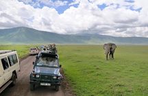 7 Days Tarangire, Serengeti, Ngorongoro & Manyara Camping Safari Tour Tanzania