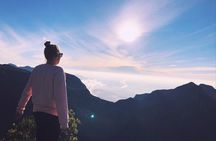 Horton Plains National Park Tour With Scenic Train Ride