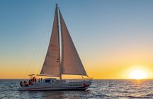 Sunset Cruise with the Whales on our Sailing Catamaran