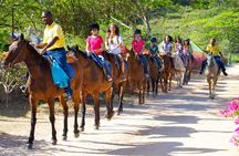 Horseback Ride n Swim and Green Grotto Adventure Tour from Falmouth
