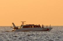 Sunset Cruise with the Whales from Kawaihae Harbor
