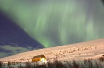 Northern Lights Hunting (Private)