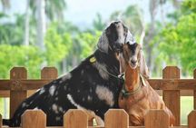 Eco Park Punta Cana by Marinarium Parks