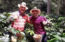 Coffee & flowers: Coffee Experience in Bogotá, Colombia
