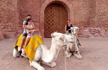 Ride the cast of famous Hollywood movies on set in their natural environment!