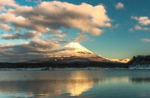 Mt Fuji Area Private Guided Tours in English-Nature up close, quiet, personal