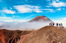 Tui: 20 Day Auckland to Christchurch Adventure Tour