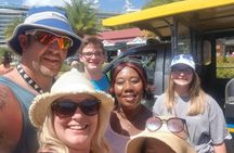  Two-Hour Sightseeing Excursion 