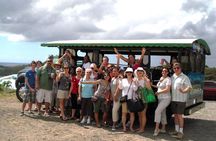  Two-Hour Sightseeing Excursion 