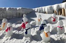 Strawberry Picking+Nami Island+Eobi Valley+Garden Lighting Fest