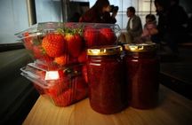 Snowyland, Strawberry Picking & Alpaca World