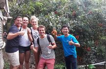 Private Mekong Delta 2 Days 1 Night