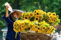  Ha Noi private city tour full day and cyclo