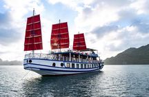 Bai Tu Long Luxury Day Cruise - Fishing Village, Kayak