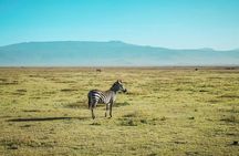 6 days Cultural tour & Lake Eyasi
