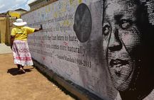 Half Day Apartheid Museum Tour