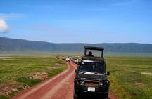 2 days Safari to Tarangire and Ngorongoro crater