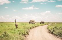 2 days Safari to Tarangire and Ngorongoro crater