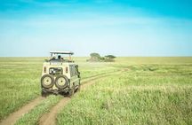 2 days Safari to Lake Manyara and Ngorongoro crater