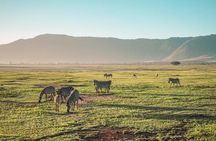 2 days Safari to Lake Manyara and Ngorongoro crater