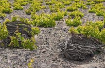 Complete Santorini Wine Experience