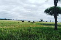 4 Days Luxury Lodge Safari Tour Tanzania