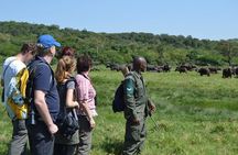 6 Days Tanzania Luxury Safari Tour 