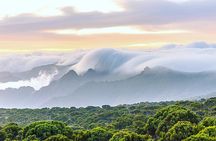 Mount Kilimanjaro via Umbwe Route 6 days Climb 