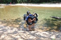 Cave Tubing from Belize City