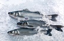An Unforgettable Day With Fish, Wine and Olive Oil Tasting 