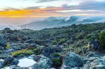 Mountain Kilimanjaro Climbing 7 Days Lemosho Route