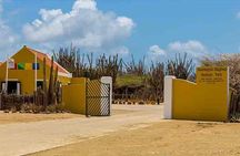 Highlights of Bonaire