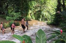 Konoko Falls and Tropical Garden Tour from Runaway Bay