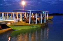 Luminous Lagoon and Rose Hall Haunted Night Tour from Ocho Rios