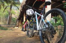 Mountain Bike Tours 