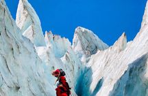 9 Day Kaka Christchurch to Christchurch Tour