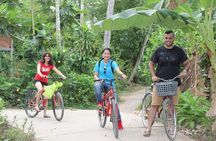  Non-Touristy Mekong Delta with Biking in Ben Tre Private Tour