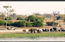 Chobe Full Day Trip