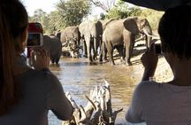 Chobe Full Day Trip