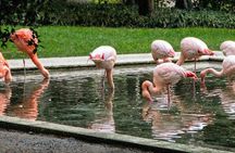 The Secret Milan – An Exclusive Stroll Beyond the Beaten Path