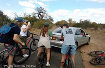 Royalty travel biking tour 