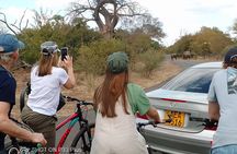 Royalty travel biking tour 
