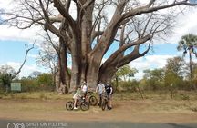 Royalty travel biking tour 