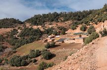 A day trip from FEZ through the MIDDLE ATLAS