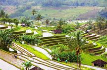 Bali Instagram, Waterfall, & Swing