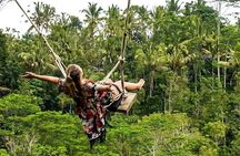 Bali Instagram, Waterfall, & Swing